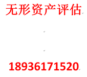 知识产权出资设立新公司要注意的问题