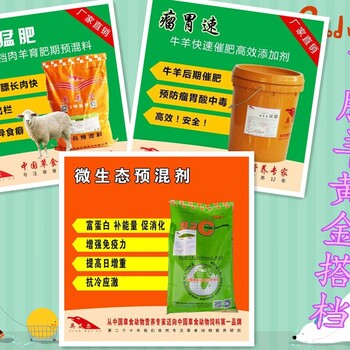 肉牛吃什么飼料長的快