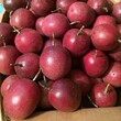 供应批发销售优质农特产品百香果和果苗价格图片