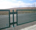廣西貴港金屬鐵絲護欄網鐵路防護網市政綠化護欄鋼板網護欄浸塑處理