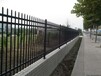 广东中山草坪隔离围栏阳台栏杆组装公园铁艺围墙护栏锌钢护栏厂家