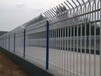 广东中山锌钢楼梯护栏图片铝合金围栏价格铁栏杆围墙校园栅栏