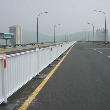 韶關(guān)人行道欄桿護(hù)欄道路交通護(hù)欄堅(jiān)固耐用不銹蝕公路護(hù)欄鐵路護(hù)欄