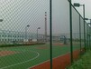 广东清远养殖护栏网学校操场围栏网厂家直销动物园隔离防护网