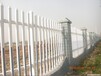 广东东莞交通塑钢护栏电力PVC围栏小区花坛绿化隔离栅