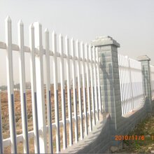广东东莞交通塑钢护栏电力PVC围栏小区花坛绿化隔离栅图片