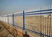 广东珠海不锈钢防护栏养殖护栏网体育场围网厂家价格防老化