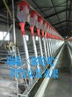 福临母猪产床猪场自动化料线养猪设备自动化猪场料线猪场自动化上料