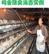 养兔子可以用生物菌消毒除臭剂除氨气吗图片