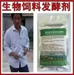 湖南潲水发酵饲料喂猪如何减少成本图片