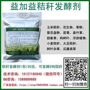 黑麦草如何用牧草发酵菌青贮养牛