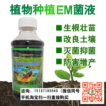 em菌原露在葡萄种植中的应用