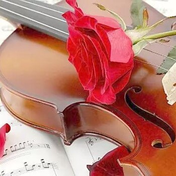 广州海珠越秀学小提琴，我选雅斯国际音乐！