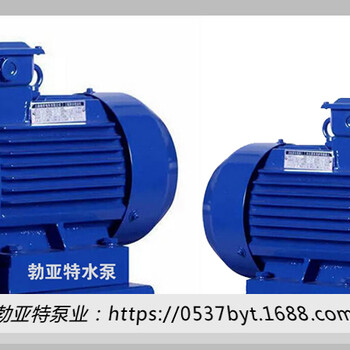 WS不锈钢单级离心泵冲压泵不锈钢卫生级水泵