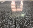 佛山禅城水磨石地面硬化——高明、三水厂房水磨石抛光