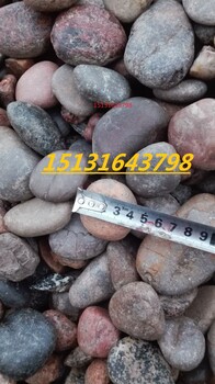 鶴壁鵝卵石濾料水廠用河卵石濾料裝飾用雨花石