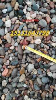 衡水天然鹅卵石滤料永顺河卵石滤料0.5-2厘米