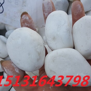大同白色鹅卵石报价是多少永顺白色鹅卵石厂家