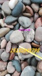 滨州天然鹅卵石永顺天然砾石供应商图片1
