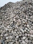 滨州天然鹅卵石永顺天然砾石供应商图片2