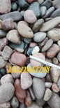 滨州天然鹅卵石永顺天然砾石供应商图片3