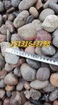 滨州天然鹅卵石永顺天然砾石供应商图片0