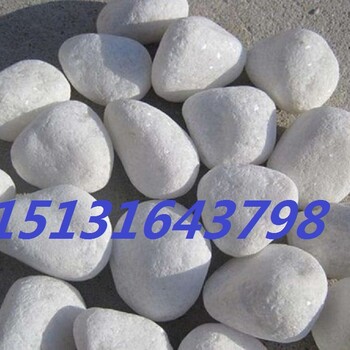 西藏白色卵石永順白色2-3卵石促銷