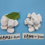 江西汉白玉鹅卵石永顺雪花白鹅卵石生产厂家图片5