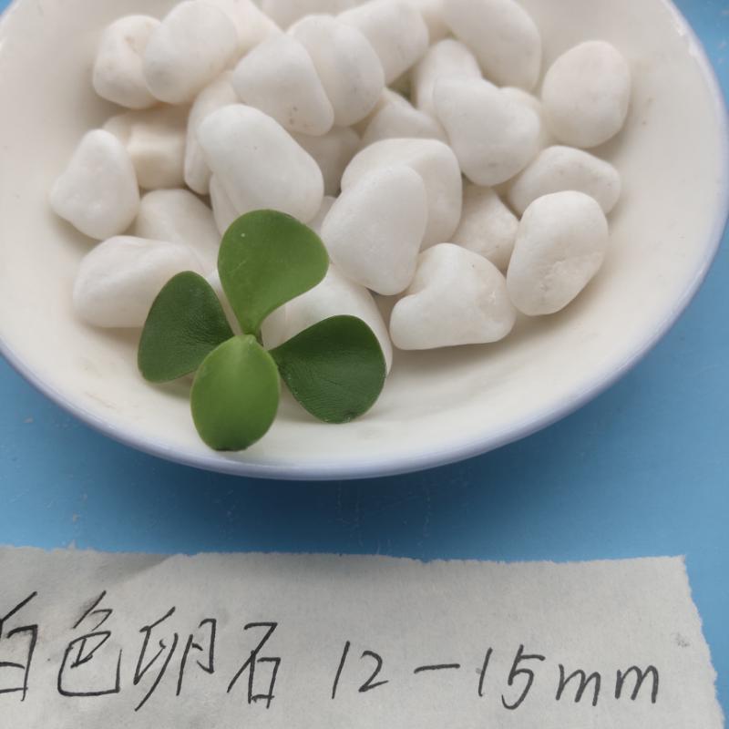 天津白色水洗石   永順白色碎石卵石