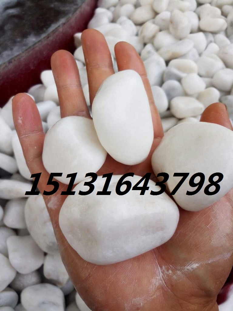 臨汾白色鵝卵石   永順白色石子供應(yīng)