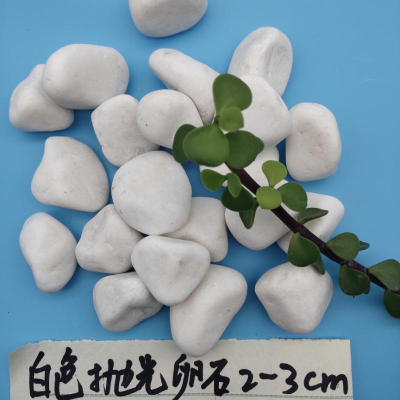常州白色鵝卵石   永順白色石子生產(chǎn)基地