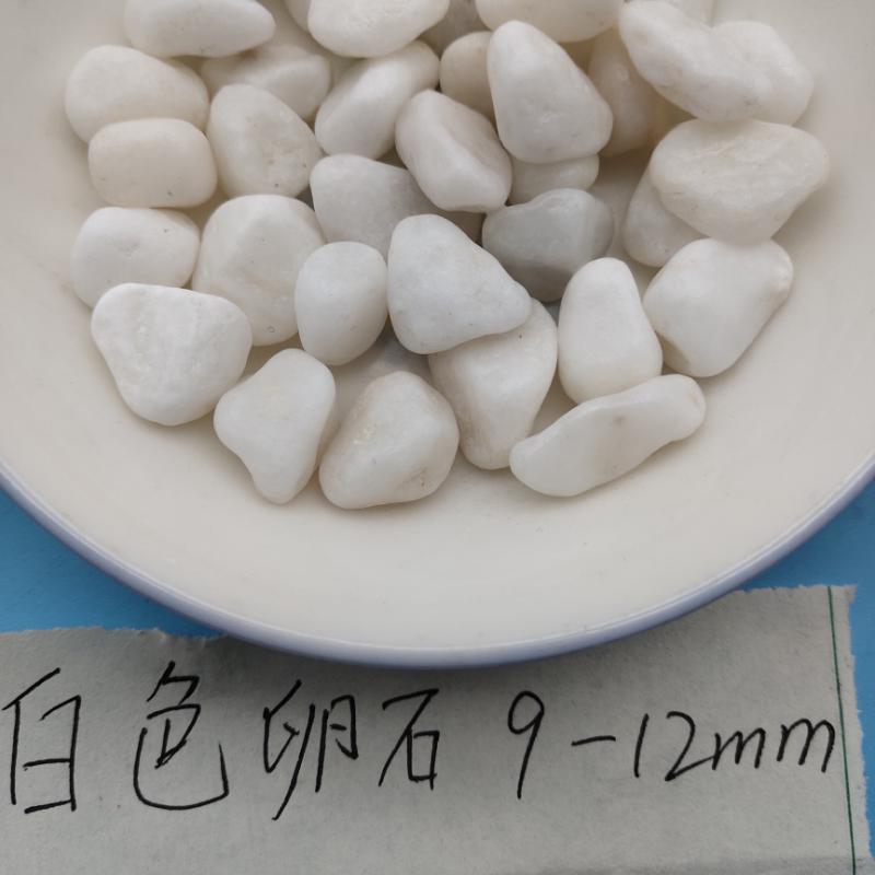 寧波白色洗米石   永順白色石子供應(yīng)商