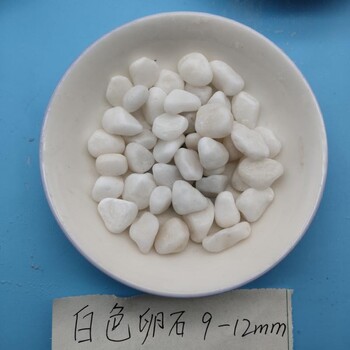 臨汾白色洗米石永順白色石子供應(yīng)