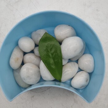 慶陽黑色雨花石永順白色鵝卵石廠家