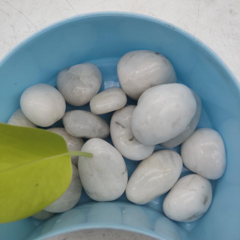 遼寧白色鵝卵石   永順純白鵝卵石生產(chǎn)基地