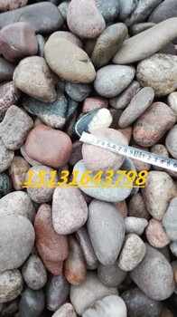 山西天然鵝卵石永順變壓器鵝卵石供應(yīng)商