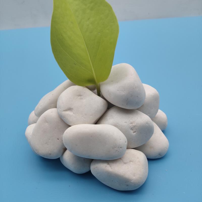 密云白色雨花石   永順白色卵石
