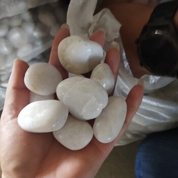 天津白色雨花石永順白色卵石大量供應(yīng)