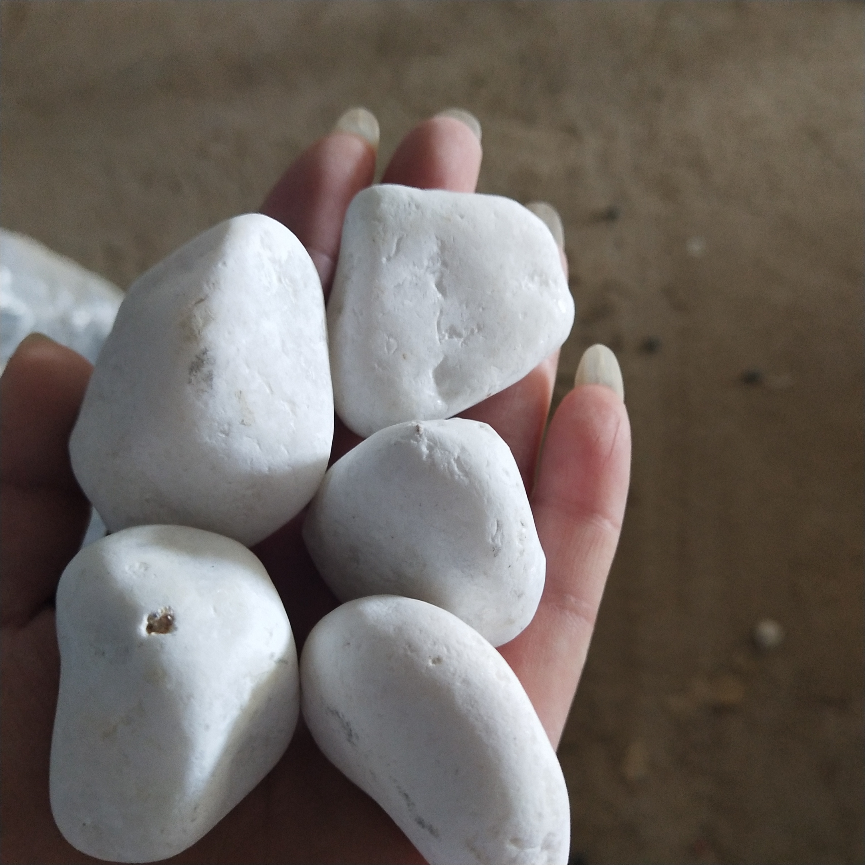 淮安白色鵝卵石   永順白色雨花石規(guī)格