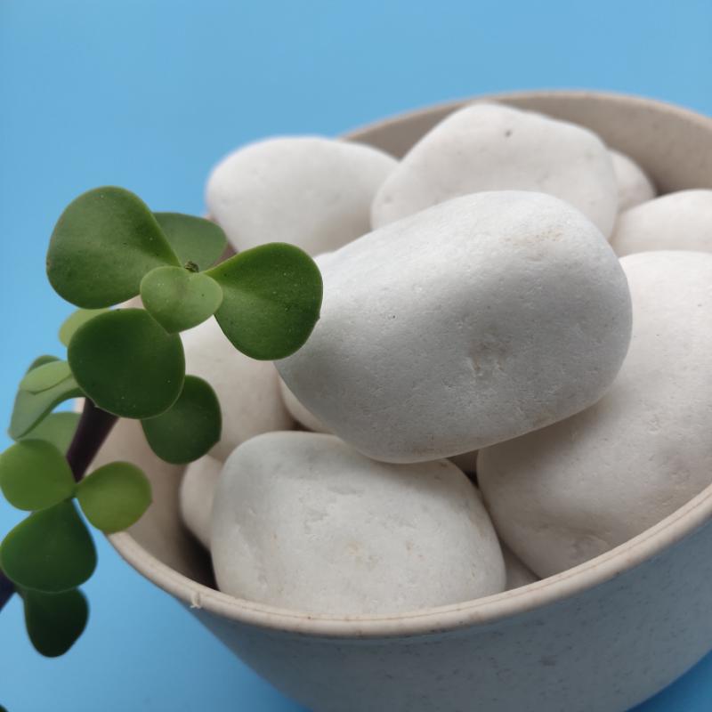 常州白色卵石   永順白色礫石供應(yīng)商