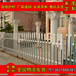 辽宁PVC护栏厂家直销幼儿园塑钢围墙护栏PVC安全围栏