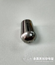 AA原装进口德国ECM5孔蒸汽头打发奶泡新玩具图片