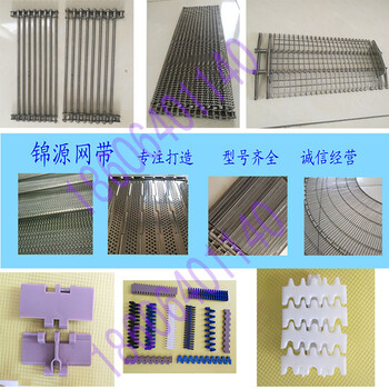19.05节距塑料模块网带拼接网链pp材质山东锦源注塑网带批发