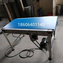 定制加工皮带输送机刮板皮带提升线网带生产线图片