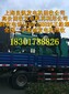 寧波發電機回收、寧波發電機回收公司、寧波回收發電機組回收價格圖片