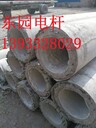 三門峽普通電桿定制加工