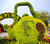 植物绿雕茶壶造型立体花坛设计施工制作