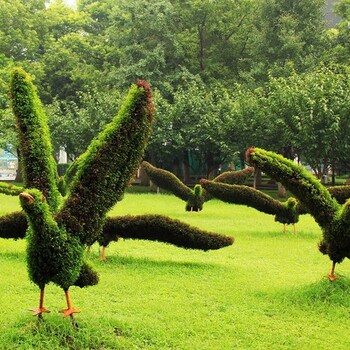 动植物造型海鸥五色草造型绢花造型绿雕