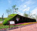 五色草造型火车立体花坛绿雕动植物造型植物雕塑图片
