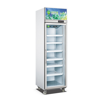 广州单门饮料柜,广州单门牛奶柜,广州单门冰柜,广州平头单门冷藏柜,广州大容量立式单门展示冰箱